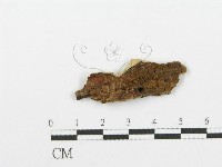 登錄號:F0002450藏品圖，第3張