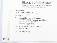 多孔菌屬藏品圖，第2張