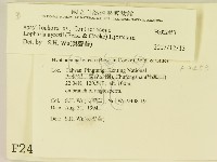登錄號:F0002453藏品圖，第2張