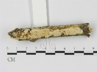 登錄號:F0002453藏品圖，第1張