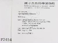 韌革菌屬藏品圖，第2張
