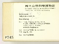 刺皮菌屬藏品圖，第2張