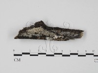 登錄號:F0002456藏品圖，第1張