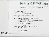 登錄號:F0002458藏品圖，第2張