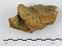 登錄號:F0002458藏品圖，第1張