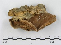 登錄號:F0002458藏品圖，第3張