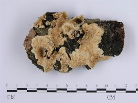 登錄號:F0002459藏品圖，第1張