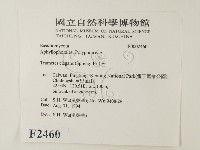 登錄號:F0002460藏品圖，第2張