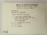 登錄號:F0002462藏品圖，第2張