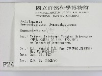 刺革菌屬藏品圖，第2張