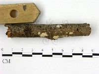 登錄號:F0002464藏品圖，第3張