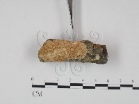 登錄號:F0002467藏品圖，第3張