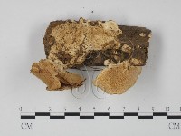 登錄號:F0002469藏品圖，第3張