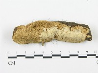 登錄號:F0002470藏品圖，第1張