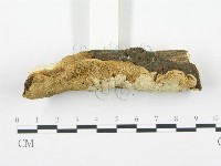 登錄號:F0002470藏品圖，第3張