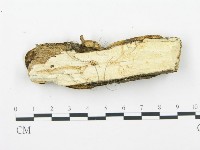 登錄號:F0002470藏品圖，第4張