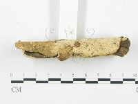 登錄號:F0002470藏品圖，第5張