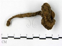 登錄號:F0002471藏品圖，第1張