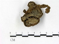 登錄號:F0002471藏品圖，第3張