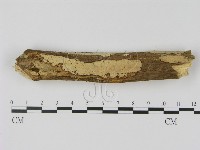 登錄號:F0002472藏品圖，第1張