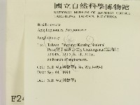 登錄號:F0002473藏品圖，第2張