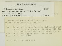 登錄號:F0002474藏品圖，第2張