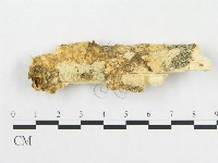 登錄號:F0002474藏品圖，第1張