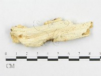 登錄號:F0002474藏品圖，第4張