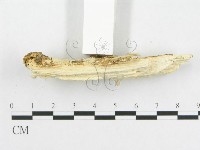 登錄號:F0002474藏品圖，第5張