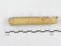 登錄號:F0002475藏品圖，第1張