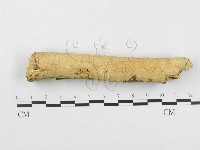 登錄號:F0002475藏品圖，第3張