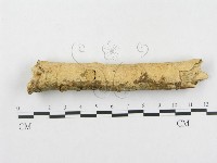 登錄號:F0002475藏品圖，第4張