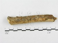 登錄號:F0002475藏品圖，第5張