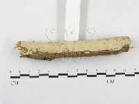 登錄號:F0002476藏品圖，第3張