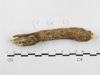 登錄號:F0002476藏品圖，第5張