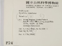 銀耳屬藏品圖，第2張