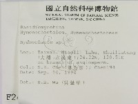 登錄號:F0002483藏品圖，第2張