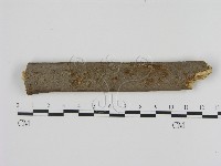 登錄號:F0002483藏品圖，第1張