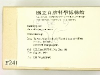 刺皮菌屬藏品圖，第2張