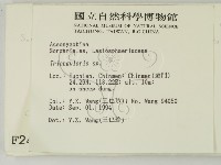 登錄號:F0002485藏品圖，第2張