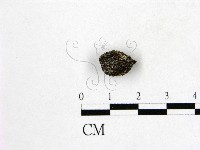 登錄號:F0002486藏品圖，第1張