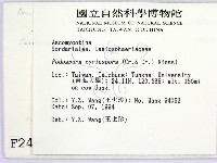 登錄號:F0002487藏品圖，第2張