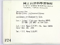 登錄號:F0002488藏品圖，第2張