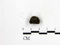 登錄號:F0002488藏品圖，第1張
