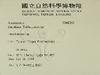 登錄號:F0002492藏品圖，第2張