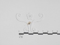 登錄號:F0002492藏品圖，第1張