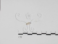 登錄號:F0002492藏品圖，第3張