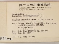 登錄號:F0002494藏品圖，第2張