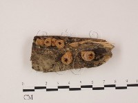 登錄號:F0002494藏品圖，第1張