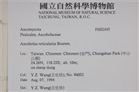 登錄號:F0002495藏品圖，第4張